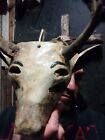 Large White Bull Toro Blanco Wood Mask Real Horns Rare Mexican Folk Art