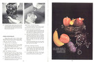 Royal-craft Candle 7110 Craft Booklet 1971 Fillbrandt Basics Molds Ice Cube Sand