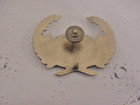 Continental Airlines Pilot Hat Badge    Buy It Now    Great Gift