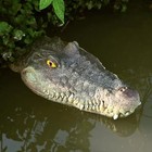 Pond Floating Alligator Head Decoy  Realistic Crocodile Head For Goose   Duck 