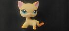 Hasbro Littlest Pet Shop  339 Lps Little Yellow Orange Short Hair Cat Blue Eyes 