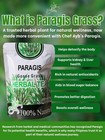 Chef Ayb s Paragis Herbal Tea 100  Natural Caffeine-free 2g X 10 Sachets