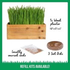 Organic Pet Grass Growing Kit W  Wood Planter Seed Soil Indoor By The Cat Ladies