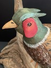 Vntg Hand Carved Painted Wood Pheasant Bird On Driftwood Signed Eugene Ownby