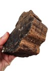 Petrified Wood Specimen 1lb 5 5oz  Great Display Piece