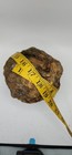 4 58 Lb Natural Kentucky Geode Whole Unopened Crack Your Own  10-13-26-05 