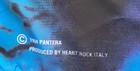 Pantera Vintage Poster 1994 Official Deadstock Rare Metal Heavy Metal 