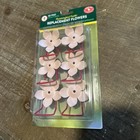 2-6pk Soft Pink Perky Pet Flower Replacement With Bee Guard For Hummingbird Feed