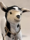 American Girl Doll Josefina Sombrita The Baby Goat Pet Animal W  Bell Collar
