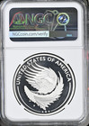 2025 P Ngc Pf69 American Liberty 1 Oz Silver Proof Medal
