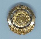 Vintage Pair Gold Filled Jewish Hadassah Life Member Pins