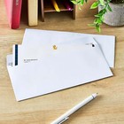  10 Privacy Tint Gummed Envelopes  White  4 13 In X 9 5 In  150 Count