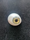 Antique Prosthetic Glass Eye