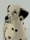 Royal Doulton Dalmatian  Porcelain Figurine  Animals Utility Dog  7 Inch