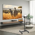 2 Shelves Mobile Projector Stand  Rolling Laptop Stand Adjustable Height To 4   