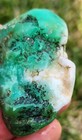 High Grade Marlborough Chrysoprase Australia Rough  30 Grams 