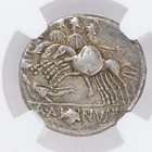 A  Albinus Sp f  Ar Denarius Roman Republic Silver Coin 96 Bc Ngc Ch F Graffito