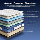 Queen 12  Memory Foam Hybrid Mattress Medium Firm Pocket Spring Bed