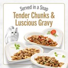 Purina Fancy Feast Gourmet Wet Cat Food Variety Pack  Petites Gravy Collection