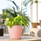 5pack 6 -7 5   Plastic Flower Pots Modern Indoor Outdoor Plant Containers Garden