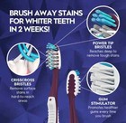Oral-b Cross Action Pro Advanced Toothbrush  Soft Or Medium Bristle  8-pack