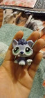 Lps Littlest Pet Shop  1810 Purple Husky Puppy Dog Figure 2 In Cute Toy Gift 
