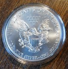 2013 American Silver Eagle Dollars 1 Troy Oz  999 Fine Silver Goddess Of Liberty
