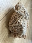 Natural Sea Life Reef Decor Display Home Art Piece