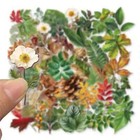 50pc Clear Plant Leaves Sticker Pack Decals Phone Case  Laptop  Journaling Craft