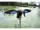 Mojo Elite Series Blue Wing Teal Motion Duck Decoy