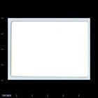 Old Vintage Photo Cemetery Grave Flowers