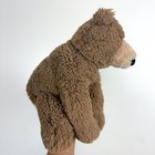 Jellycat Brown Woody Bear Sitting Plush Stuffed Animal