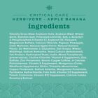 Oxbow Animal Health Critical Care  Herbivore  Apple-banana Flavor 