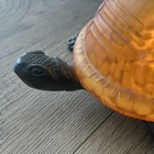 Vtg Turtle Lamp Amber Tiffany Style Glass Tortoise Night Light Switch Metal