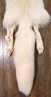 Rare Big Ranch Pink Fox Hide Pelt Freshly Tanned  Luxurious Fur 2 Legs