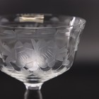Etched Floral Crystal Coupe Champagne Glass Optic Paneled Vintage Bohemian 1940s