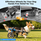 Dog Wheelchair For Back Legs Adjustable For Medium Dogs  Corgi Dachshund