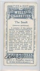 1910 Wills Cigarettes Fish   Bait Tobacco The Smelt  29 0pl9
