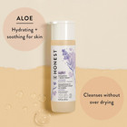 The Honest Company Lavender Calm 2-in-1 Baby Shampoo And Body Wash  10 Fl Oz