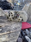 Multi Holed Hag Stone Free Standing Solid Stone With Two Swim Through Holes 5lbs