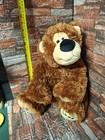 Dan Dee Collectors Choice 16 Inch Plush Bear Little Bear Stuffy