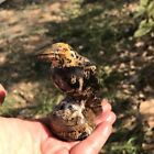 Natural Crow  chinese Painting Stone  Quartz Carving Crystal 1pc