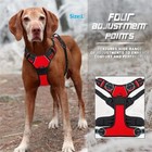 Dog Collar Harness Leash Set   Vest Puppy Accessories Small Medium Dogs Usa 