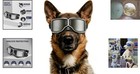 Ultimate Eye Protection Dog Sunglasses For Medium To Large Breeds - Adjustable
