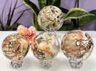 Wholesale Lot 3-4 Pcs Natural Money Agate Spheres Crystal Ball 2 8-3lbs