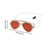 Speedo Sunny G Mariner Mirrored Unisex Swim Goggles - Anti   fog  Uv Protection