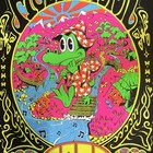 King Gizzard And The Lizard Wizard   Fov Field Of Vision Poster 8 15-8 17 1265