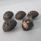 5 Button Molded Black Glass Floral Design Painted Trim Vintage Antique Set 4