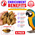 Bonka Bird Toys 2449 Pk6 Mahogany Pods Foot Talon Craft Part Parrot Chew Treat