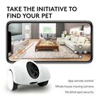 Smart Robot Camera - App Controlled Movable Pet Companion By Guliguli